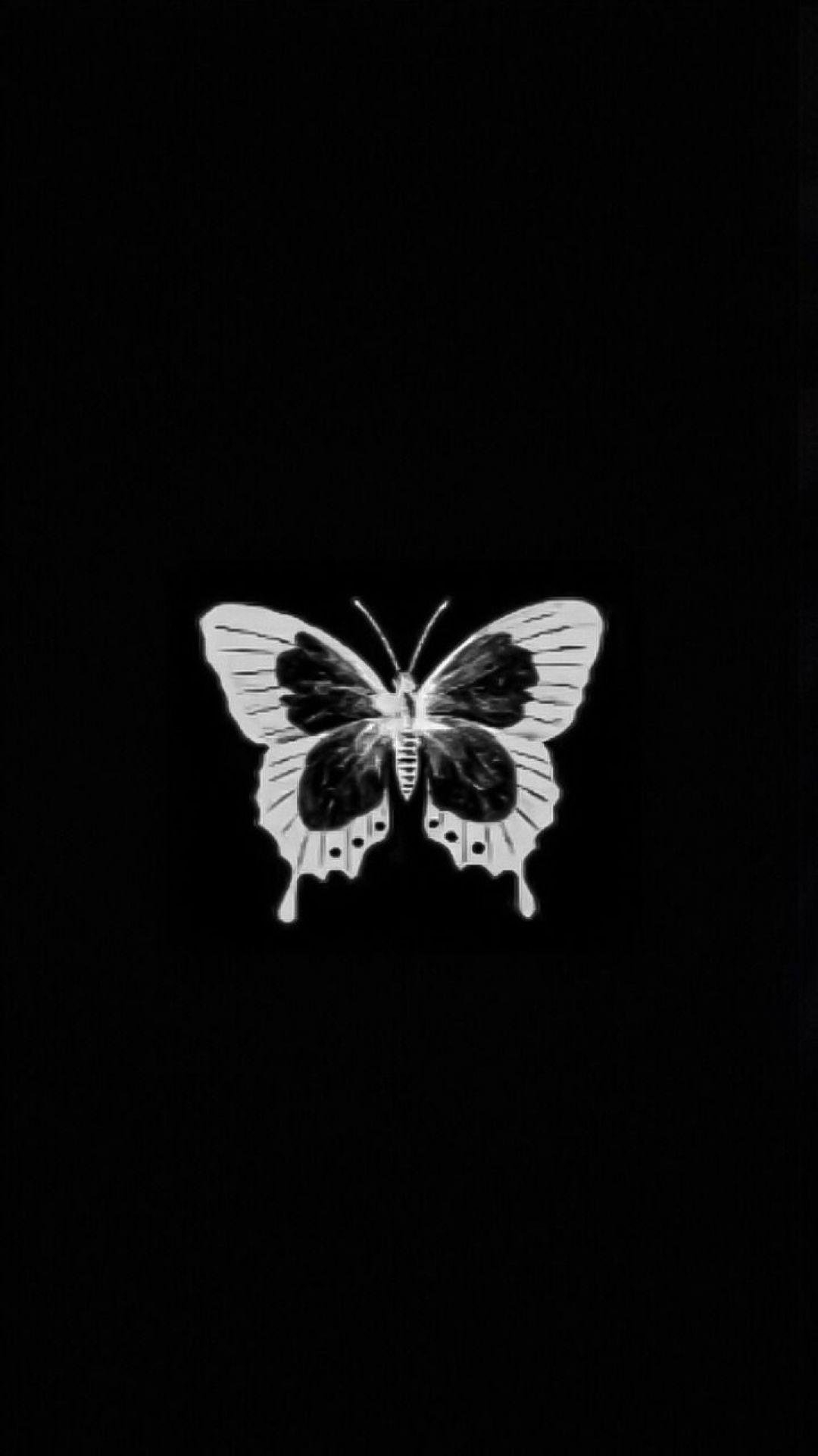 Трепещущая бабочка - 71 фото