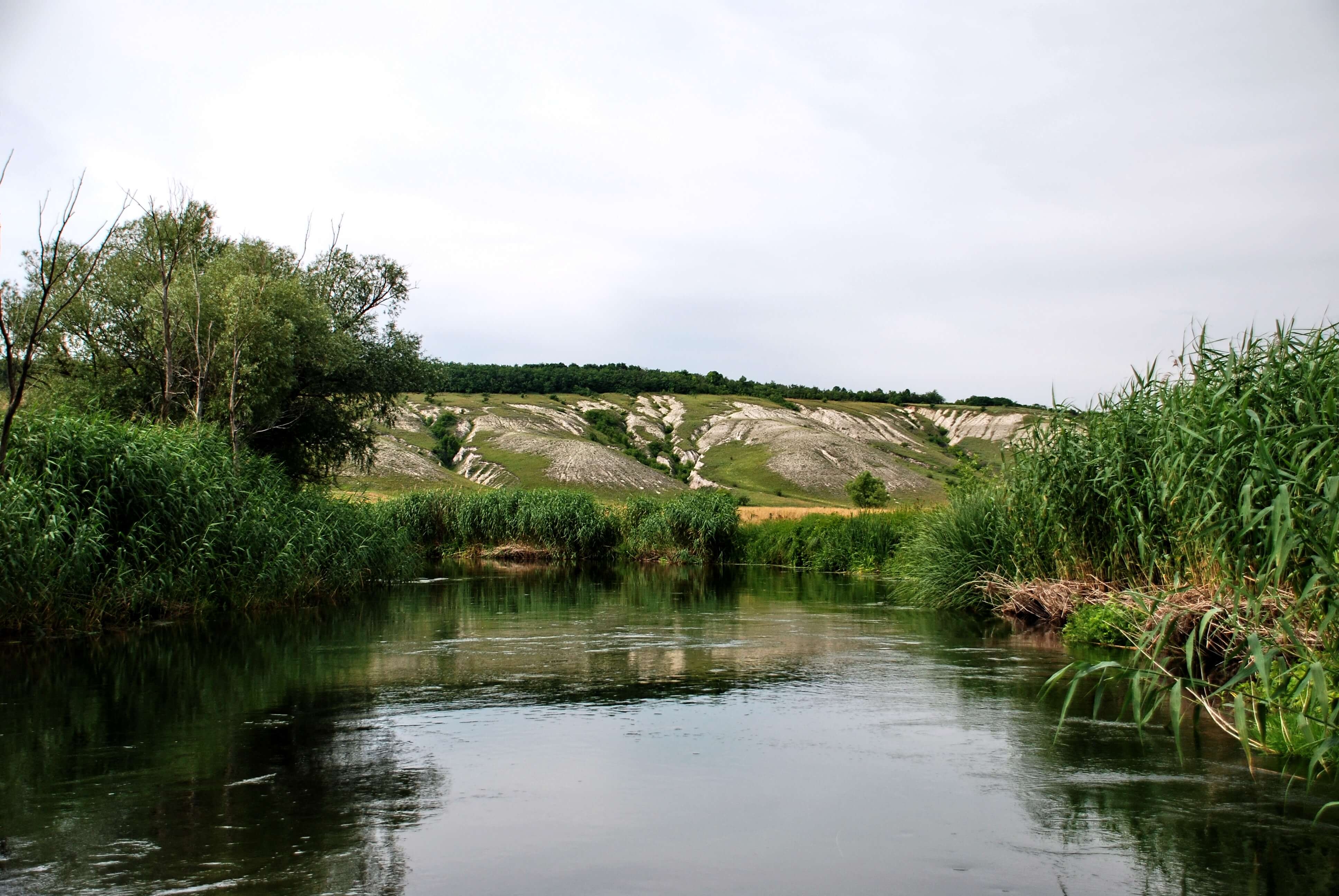 Село валуйки белгородская область