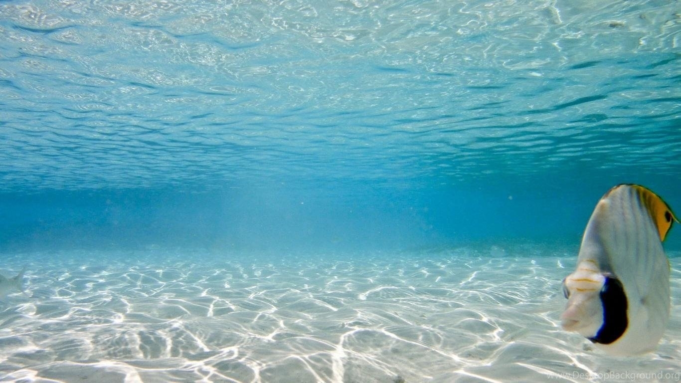 Красивый океан под водой