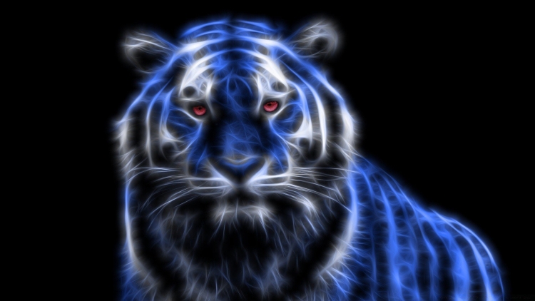 Голубой тигр обои