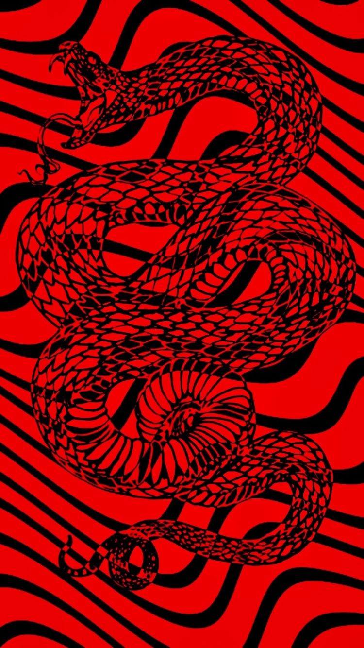 Черно красные змеи