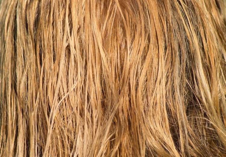 Текстура волосы