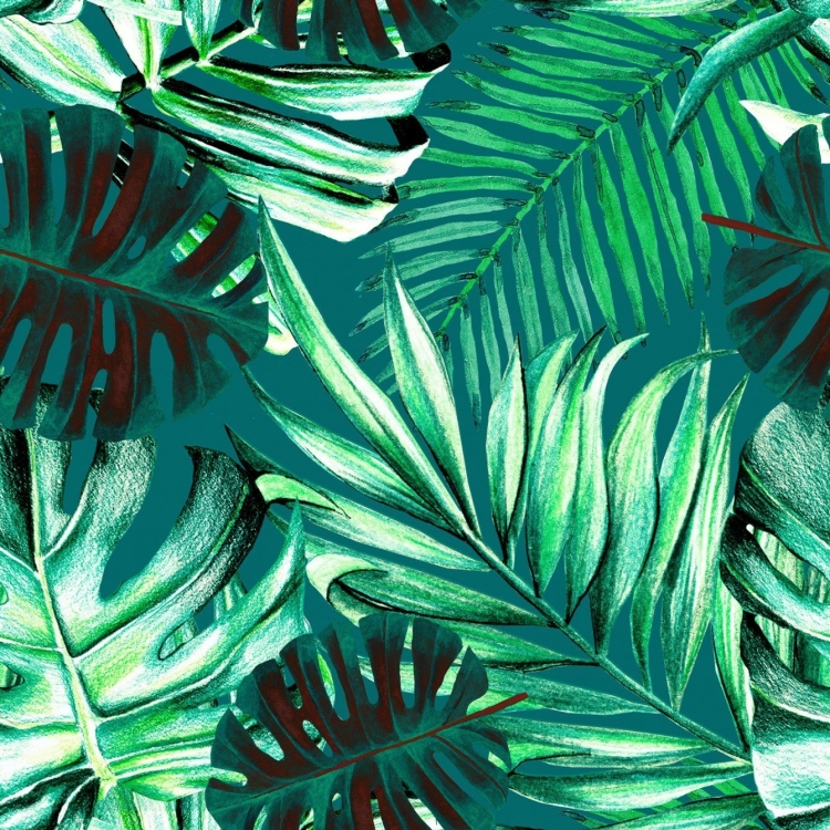 Фон листья пальмы