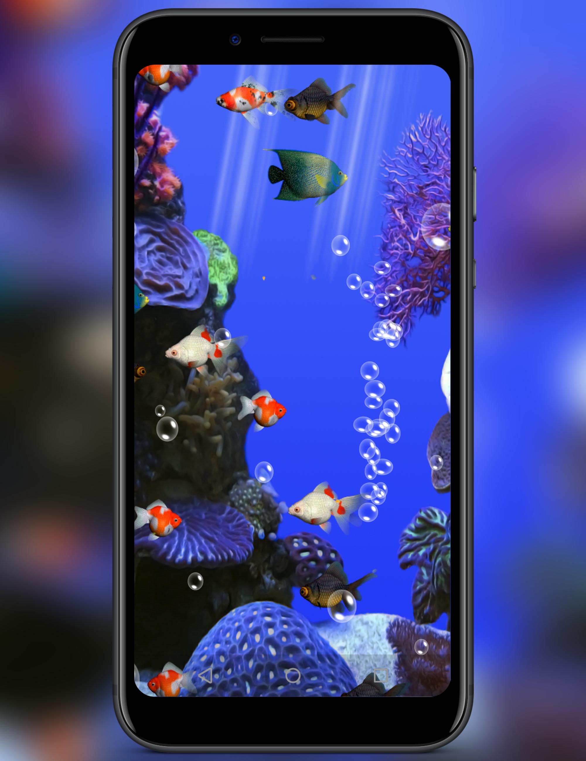 Живые аквариумы на телефон. Живой аквариум. Живые рыбки. Плавающие рыбки на экране. Скринсейвер аквариум.