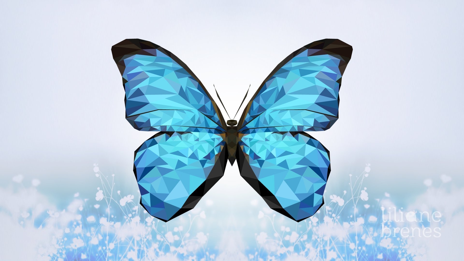 Бабочка на бирюзовом фоне