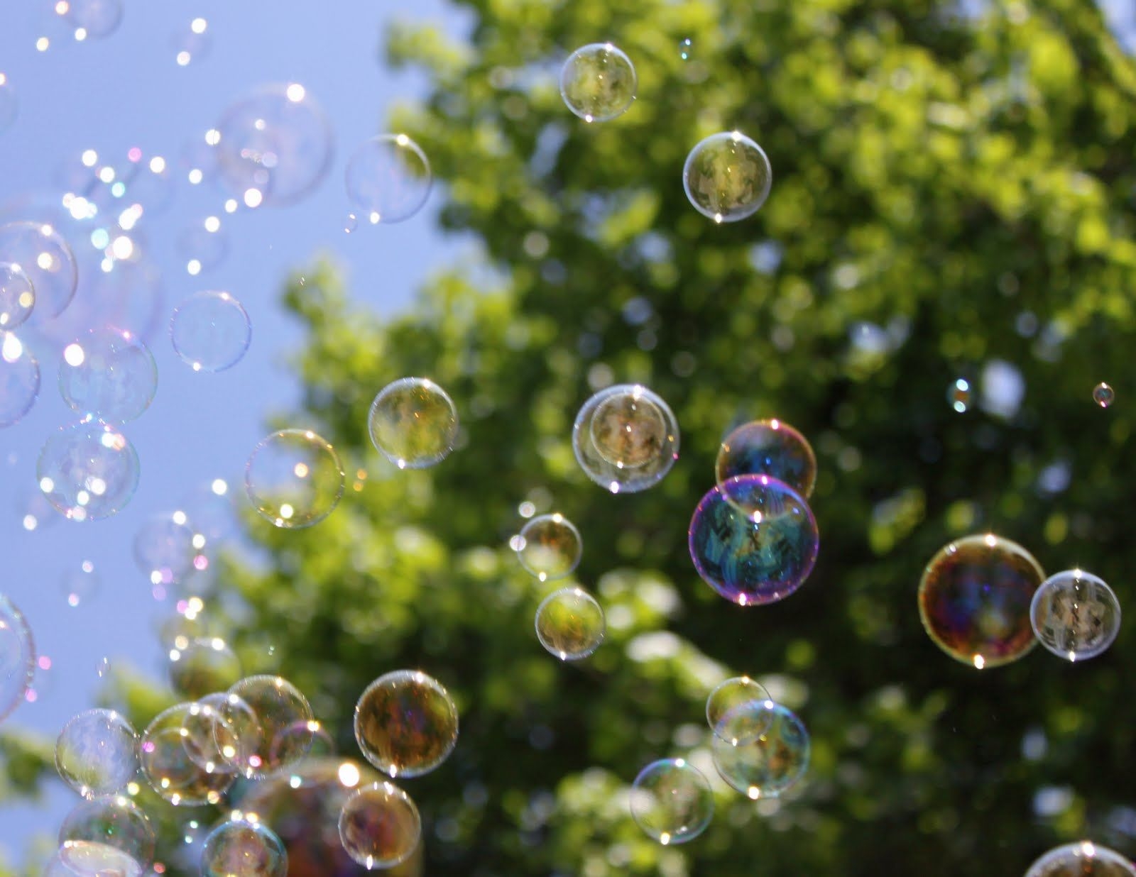 Покажи картинку пузыри. Мыльные пузыри. Пузыри в природе. Разноцветные мыльные пузыри. Воздушные пузыри.