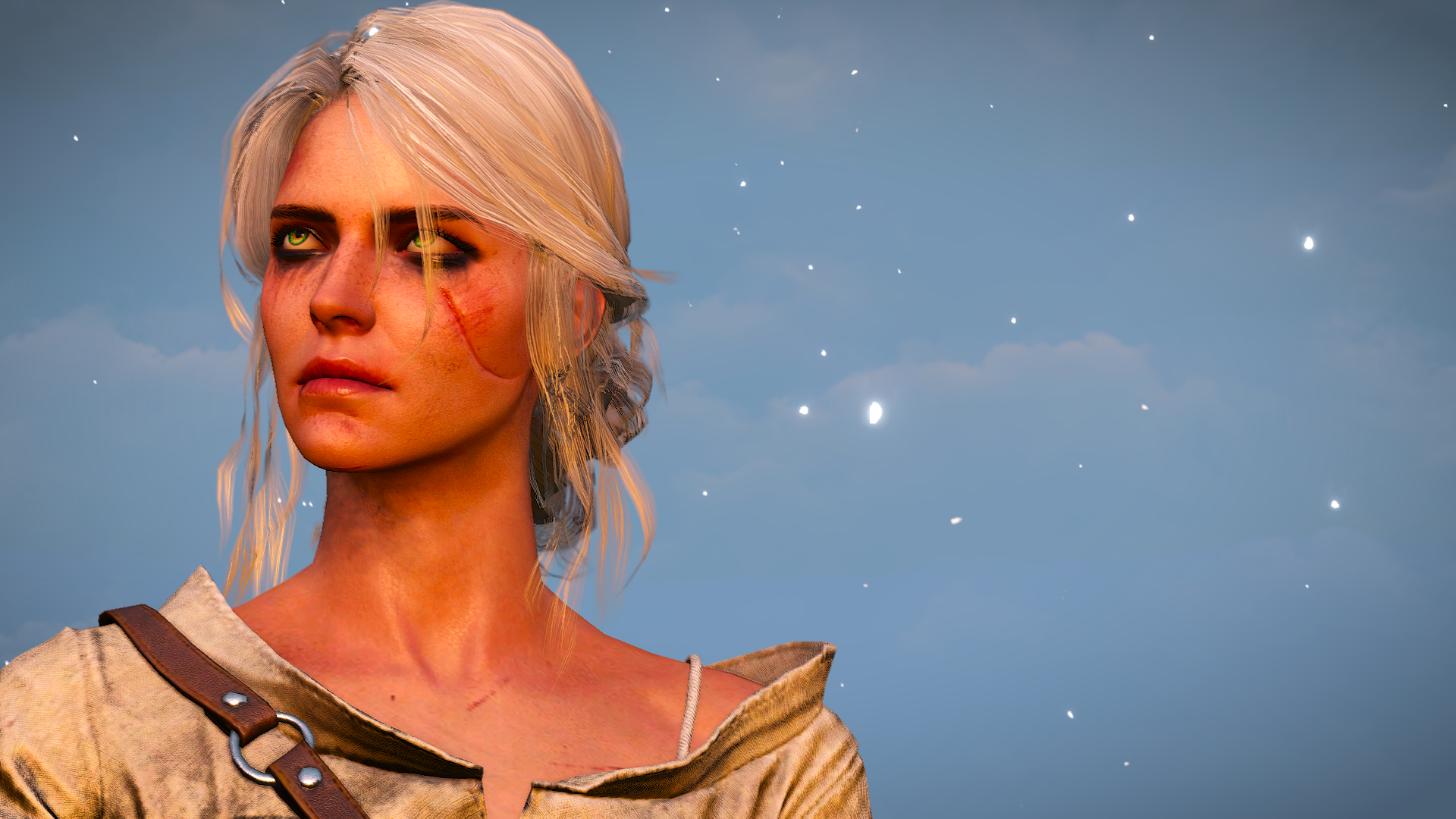 The witcher 3 ciri face фото 59