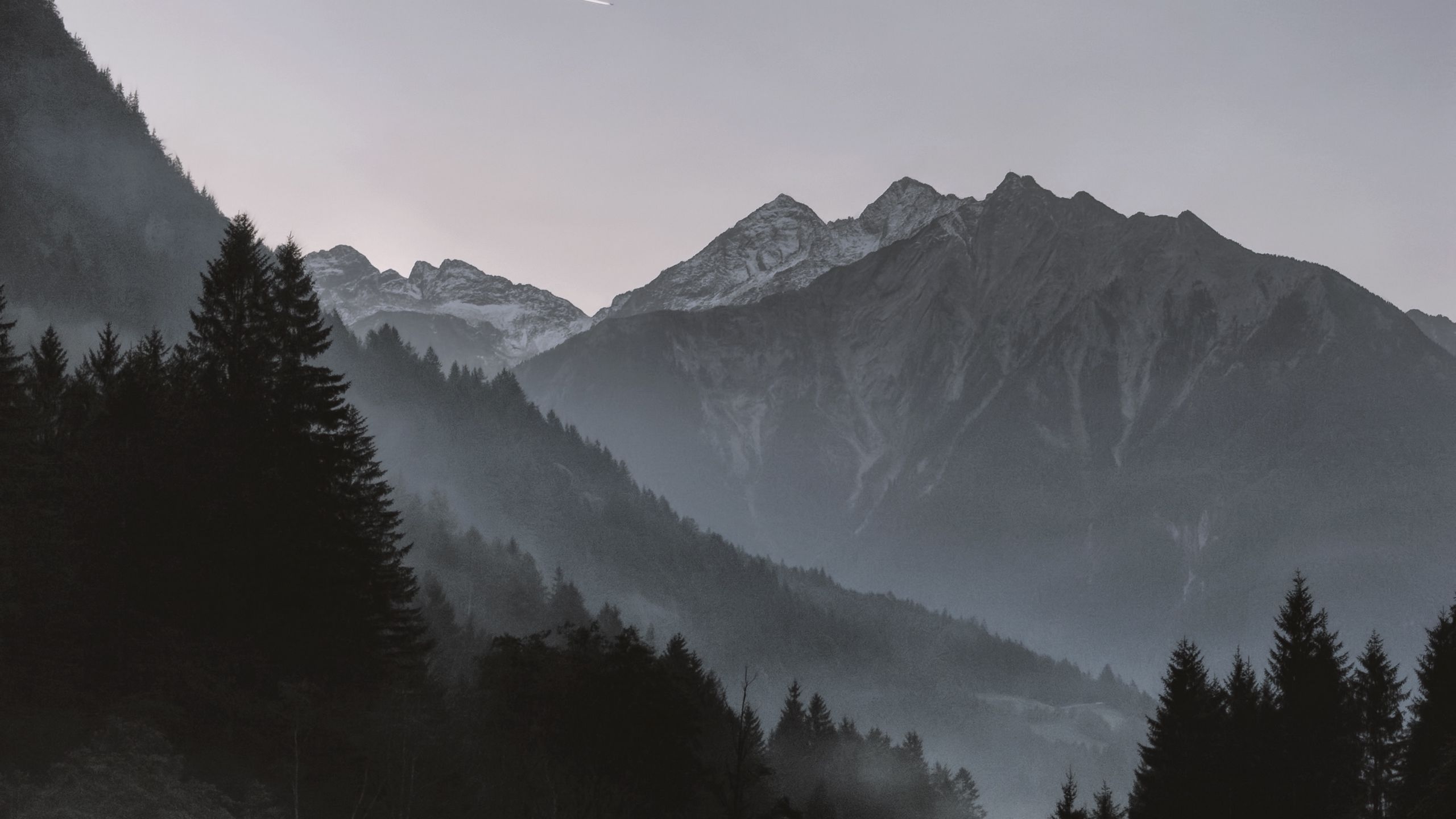 Grey mountains. Горы. Горы в тумане. Лес горы. Горы Эстетика.