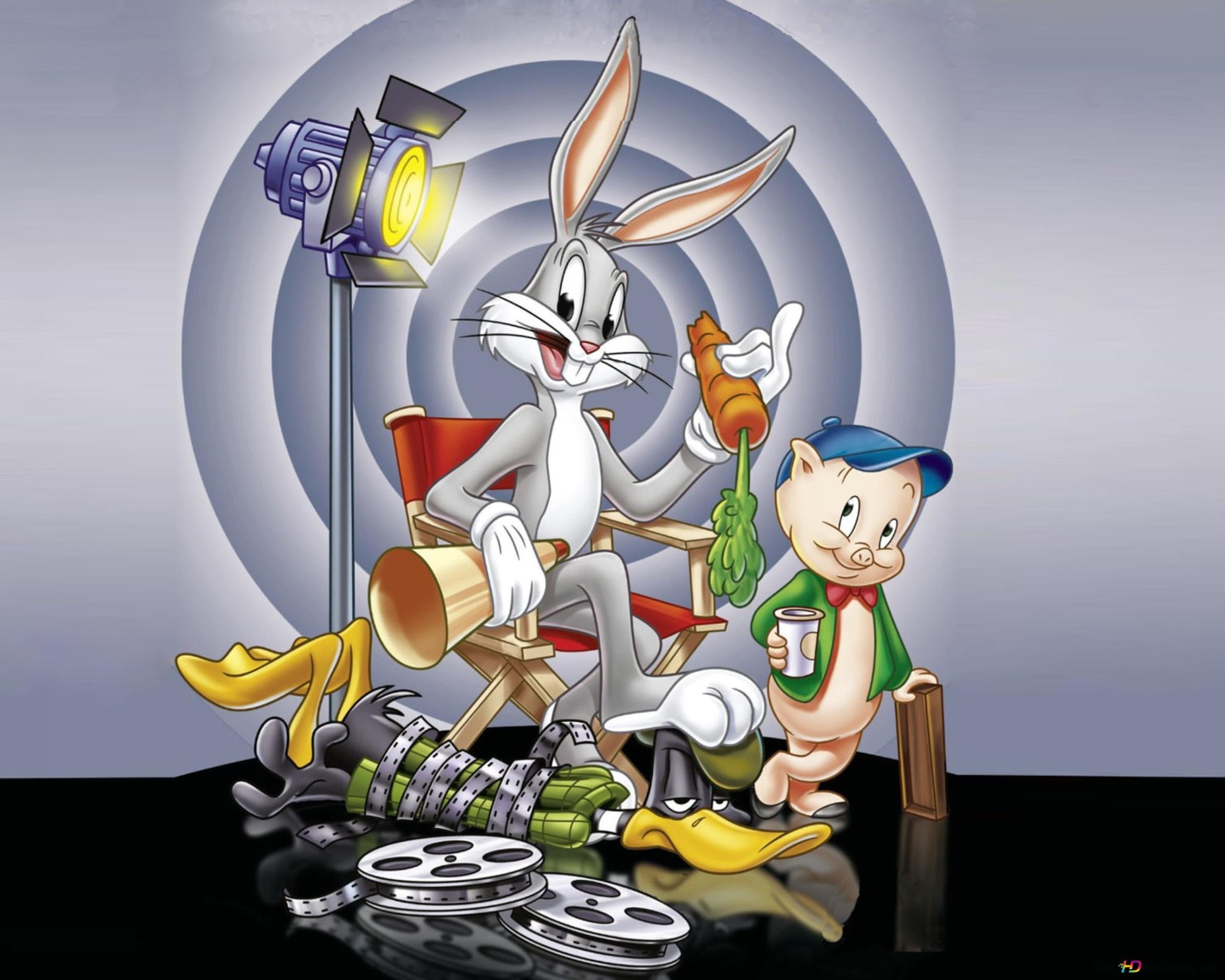Money bunny. Багз Банни. Багз Банни Looney Tunes. Warner brothers Багз Банни. Багз Банни Золотая коллекция.