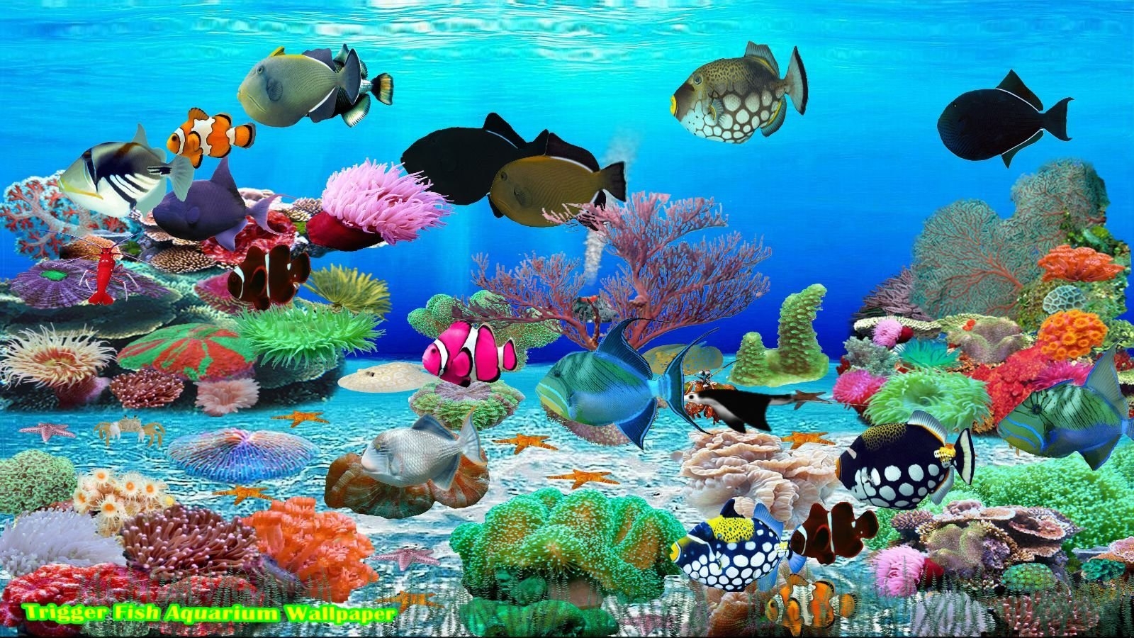 Заставка аквариум с плавающими рыбками - 47 фото