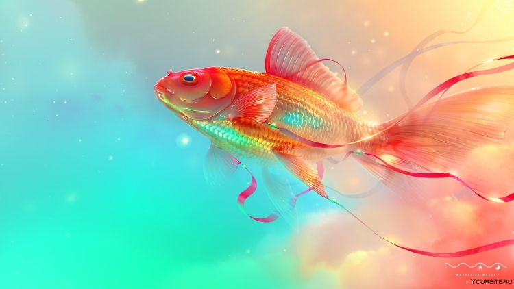 Золотая рыбка на заставку