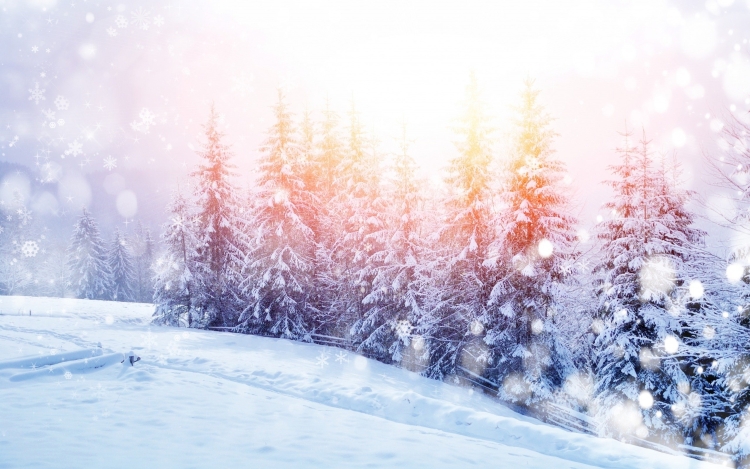 Красивые зимние фоны