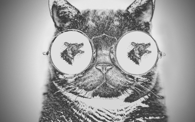 Кот в очках обои